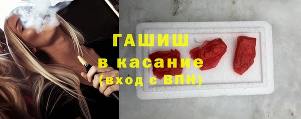 индика Абаза