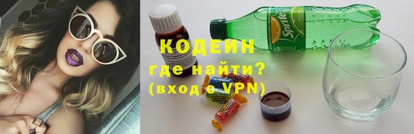 индика Абаза