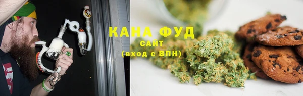 индика Абаза