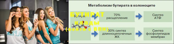 индика Абаза