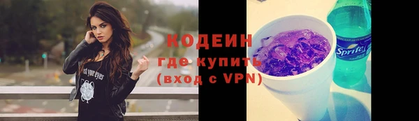 индика Абаза
