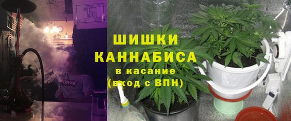 индика Абаза