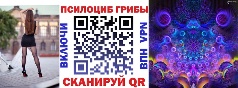 купить наркотики сайты  Юрга  Псилоцибиновые грибы Cubensis 