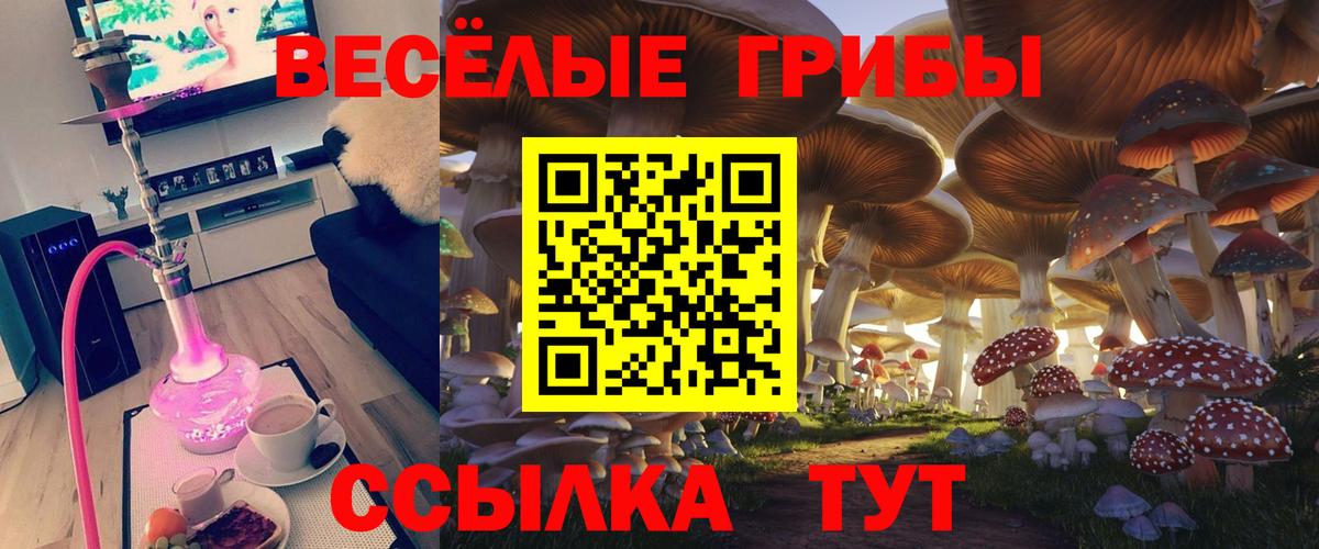 Псилоцибиновые грибы мухоморы  Вход с VPN  Юрга 
