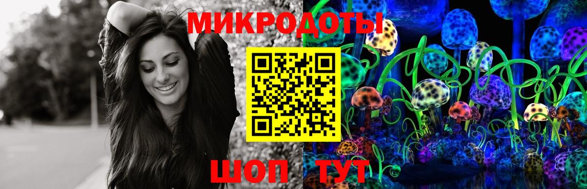 Галлюциногенные грибы Cubensis Юрга